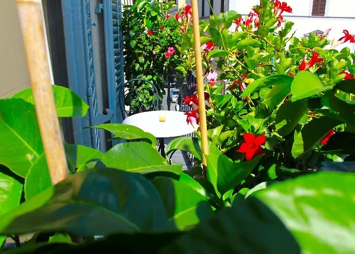 Residenza Vespucci 4* Florencia